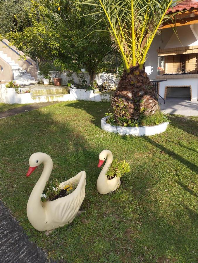 Mιχαλης Apartments Paramythia Exterior photo